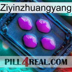 Ziyinzhuangyang 04